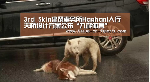 3rd Skin建筑事务所Haghani人行天桥设计方案公布“九游体育”(图1) 九游体育