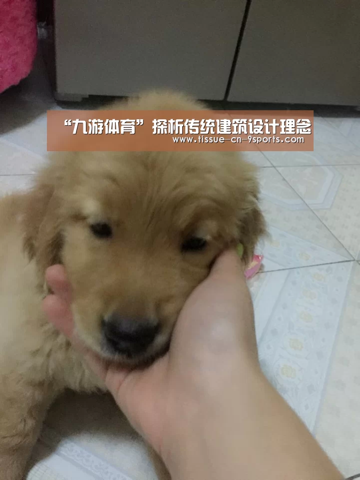 九游体育