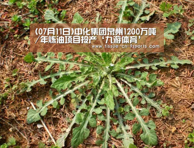 九游体育
