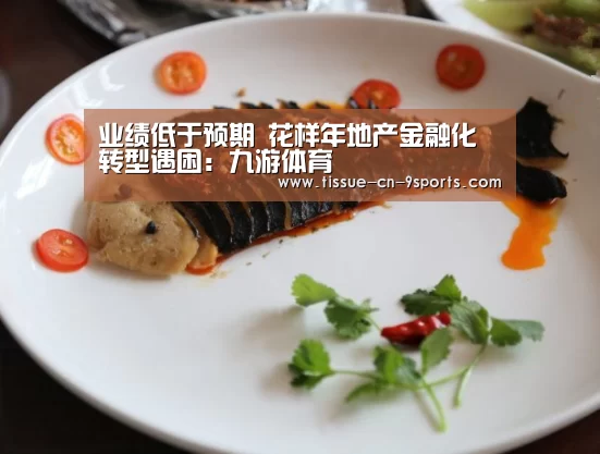 业绩低于预期 花样年地产金融化转型遇困:九游体育(图3) 九游体育